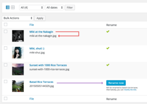 Media File Renamer