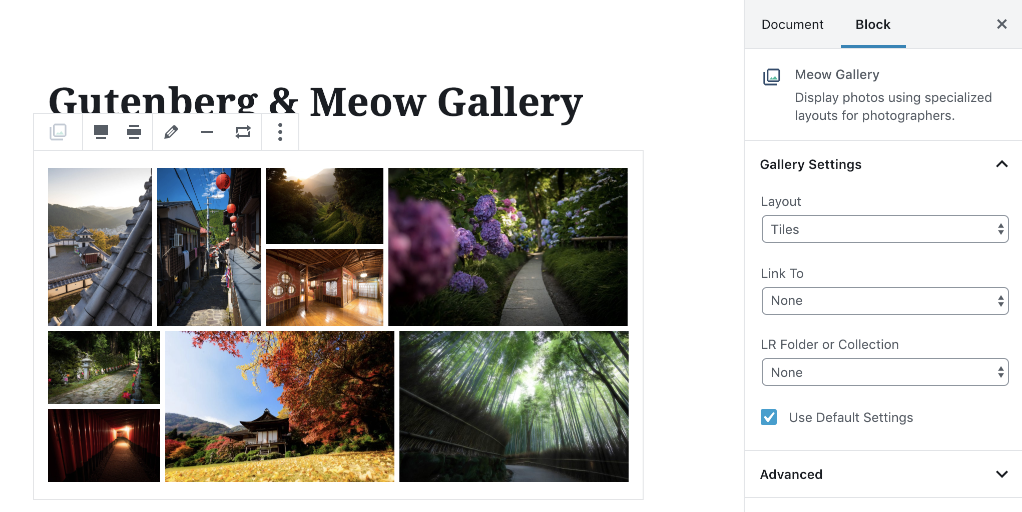 Meow Gallery Block